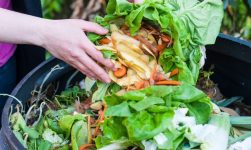 eco enzyme