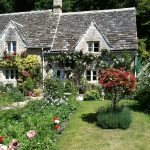 Inspirasi taman depan rumah